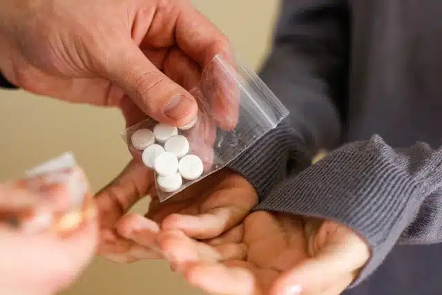 Impact of Drug Offenses section
