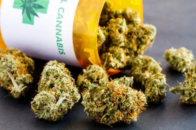 Understanding Maryland Drug Laws and Your Legal Options Understanding Maryland Drug Laws and Your Legal Options